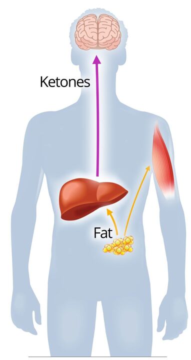 Ketosis me te nexaslim